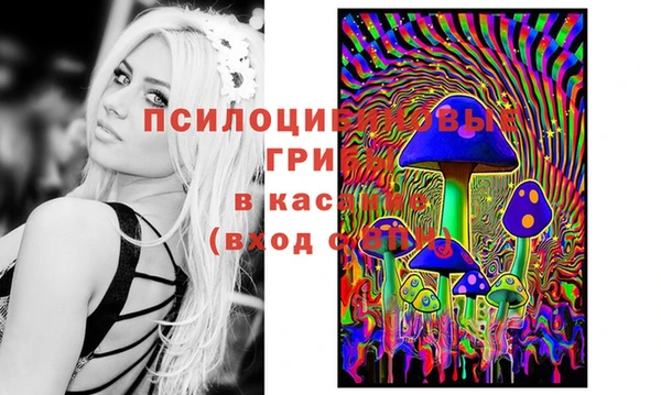мяу мяу кристалл Алзамай