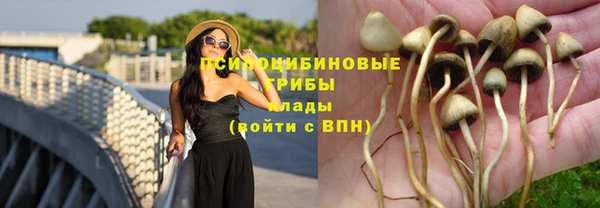 мефедрон мука Алексеевка