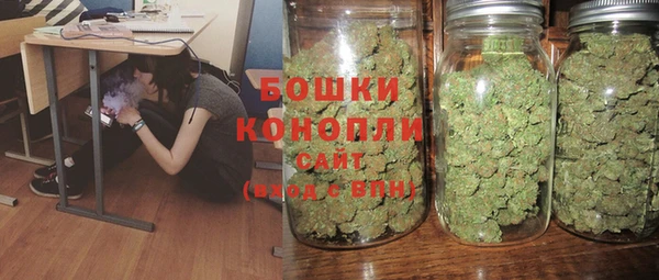 бошки Алексин