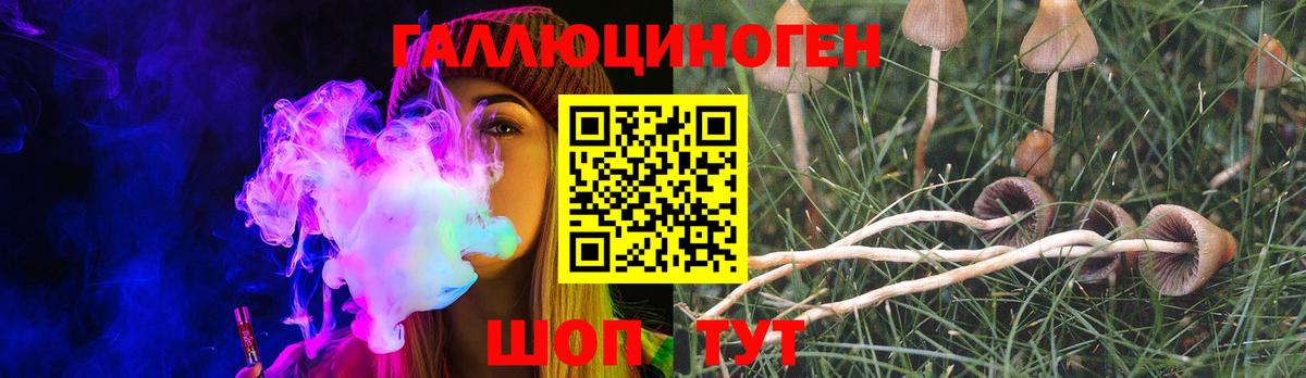 Когалым  купить   Вход с VPN  Галлюциногенные грибы MAGIC MUSHROOMS 