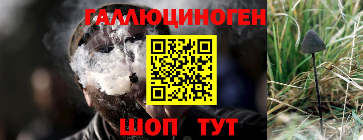 Галлюциногенные грибы мицелий Когалым