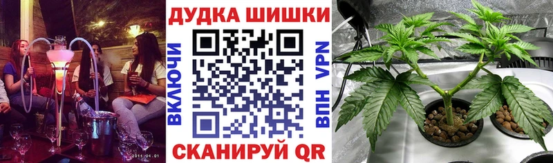 Марихуана OG Kush  где можно купить наркотик  Когалым 